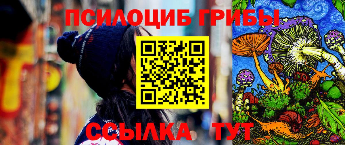 Псилоцибиновые грибы MAGIC MUSHROOMS  Вход с VPN  Егорьевск 