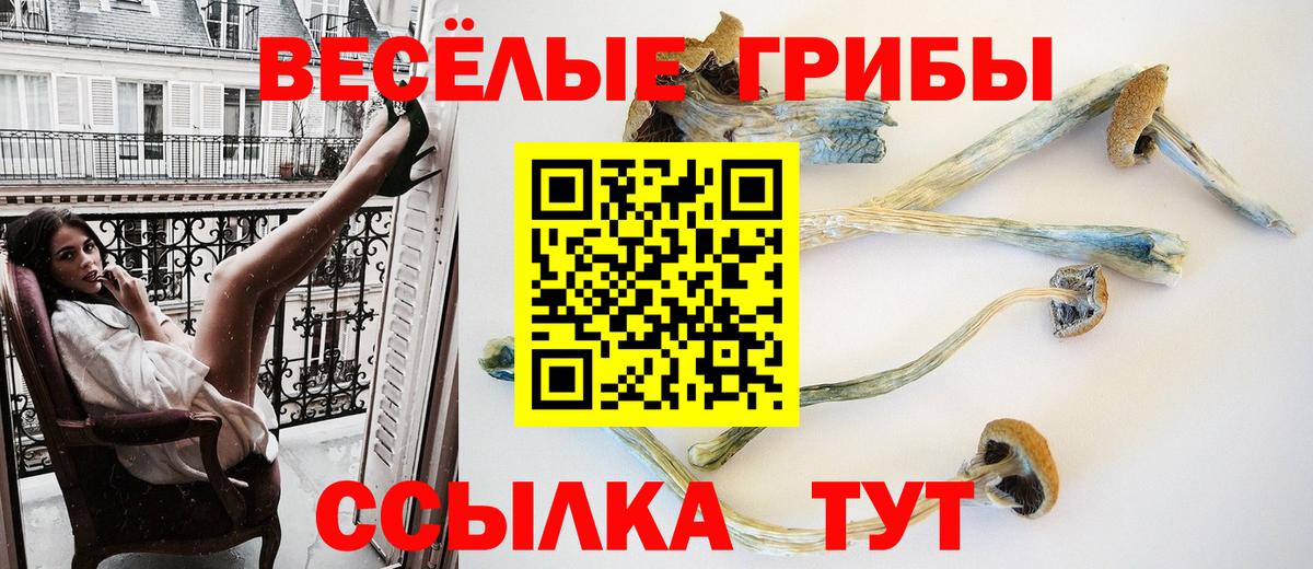 Псилоцибиновые грибы мицелий Егорьевск